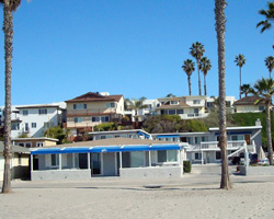 Blue Whale Timeshare