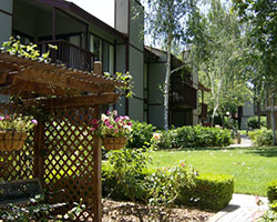 San Diego Country Estates