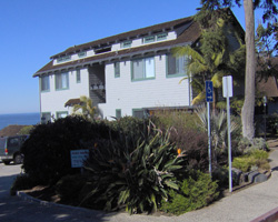Wave Crest