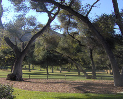 Lawrence Welk Resort